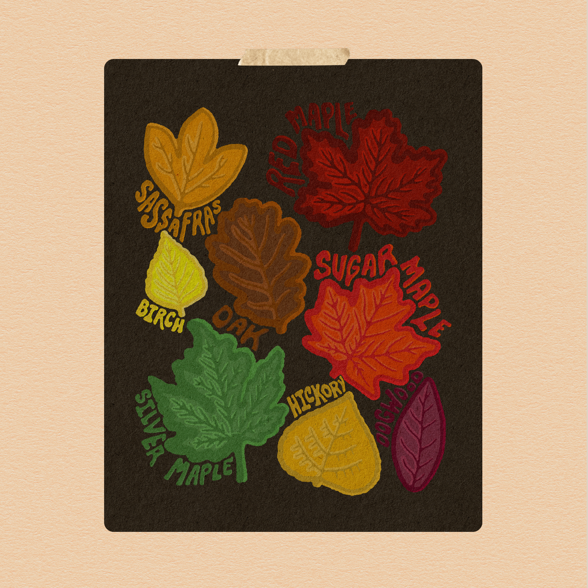 Autumn Leaves Art Print