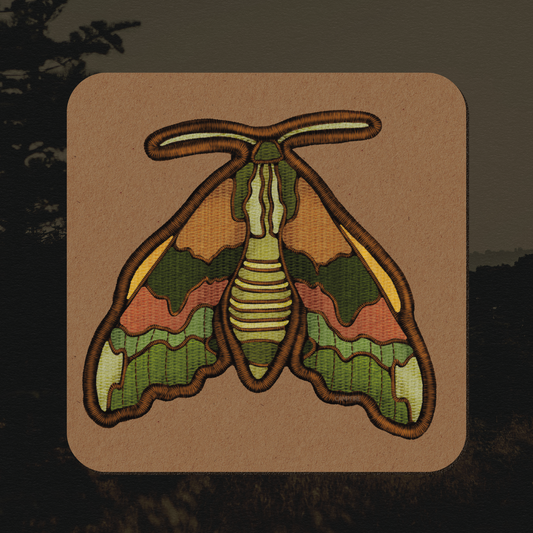 Lime Hawk-Moth Sticker