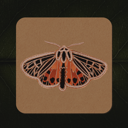 Tiger Moth Sticker