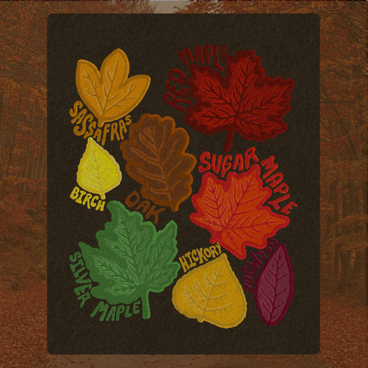 Autumn Leaves Art Print