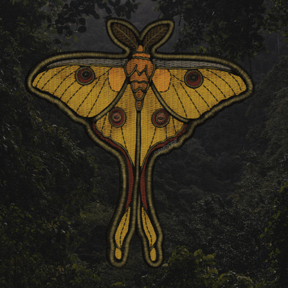 Comet moth Sticker