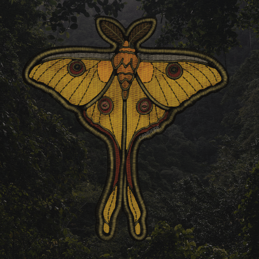 Comet moth Sticker