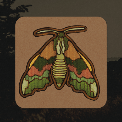 Lime Hawk-Moth Sticker