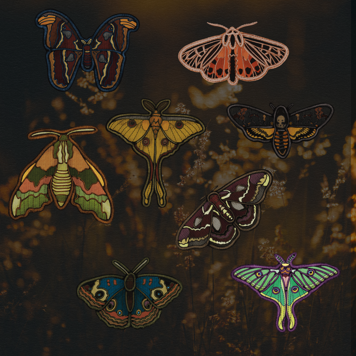 Social Moth - Mini Collection