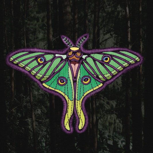 Spanish Silk Moth Sticker