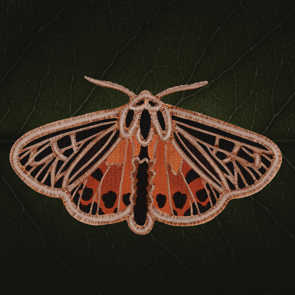 Tiger Moth Sticker