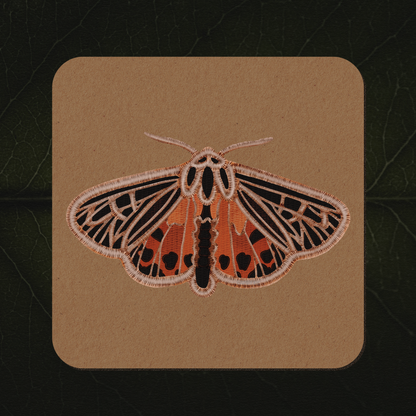 Tiger Moth Sticker